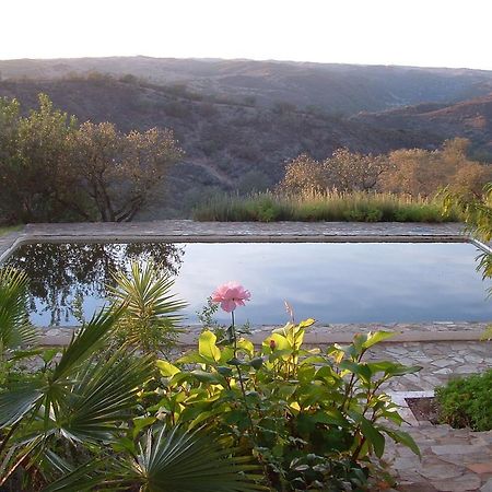 Herdade De Vale Covo - Agroturismo Mertola Bagian luar foto